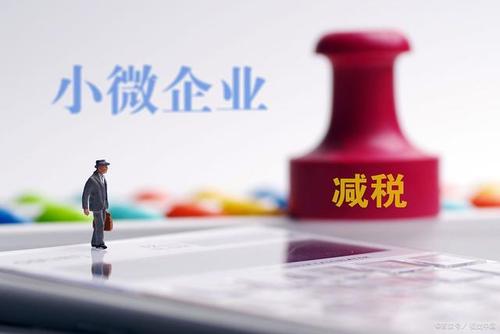 至年底，山東免除個(gè)體工商戶(hù)和小微企業(yè)免一切稅費